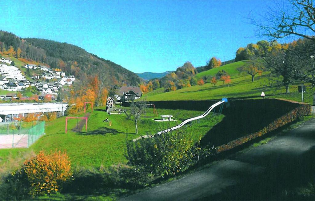 Ferienhotel Faisst Bad Peterstal-Griesbach Luaran gambar